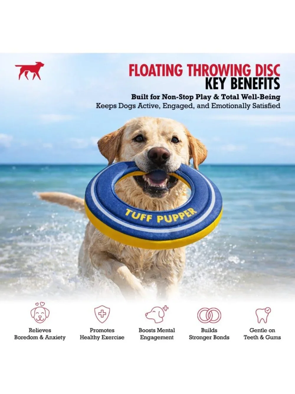 Floating Dog Frisbee Toy | Soft Foam Fetch Disc for Water & Snow Play | Gentle